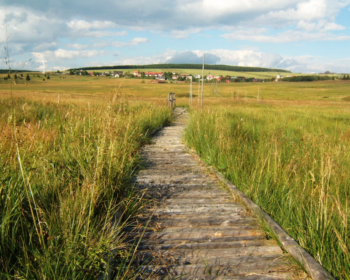 Boží Dar je fakt boží!